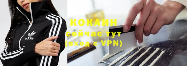 стаф Белокуриха