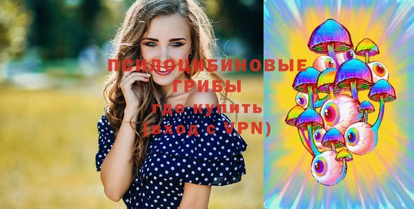 метадон Богданович