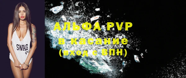 метадон Богданович