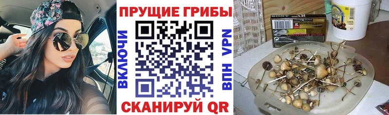 Галлюциногенные грибы мицелий Мезень